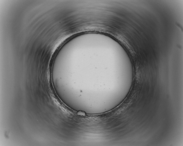 X0000102800888200809021134