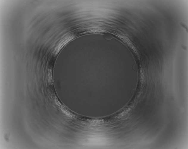 X0000102800889200809021134