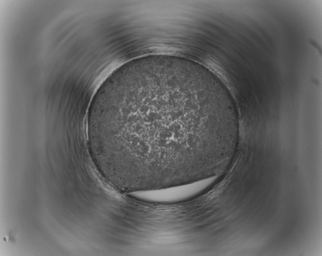 X0000102800891200809021134