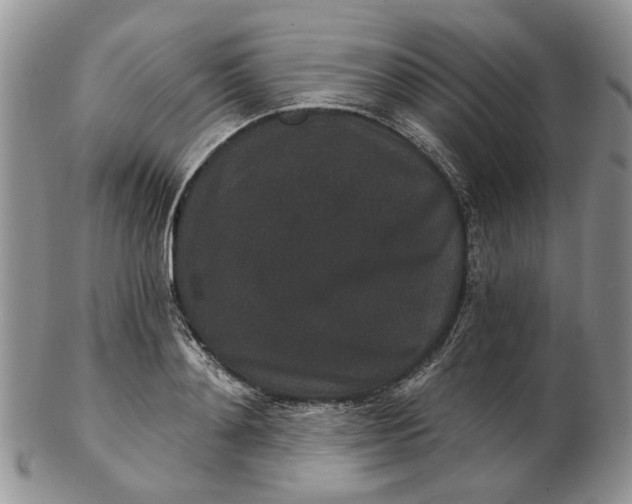 X0000102800892200809021134