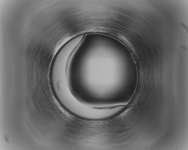 X0000102800893200809021134