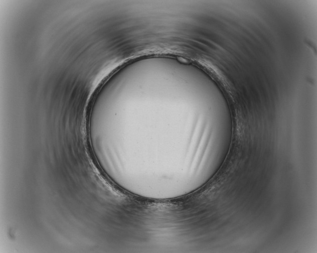 X0000102800894200809021134