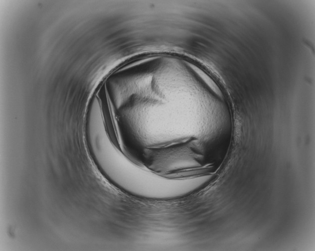 X0000102800895200809021134