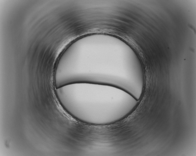 X0000102800896200809021134