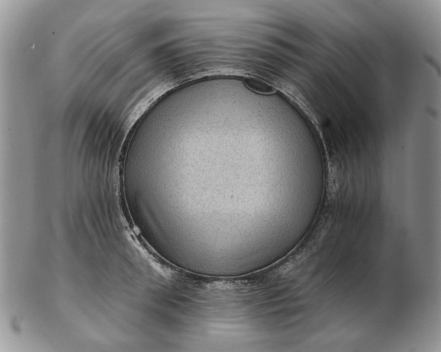 X0000102800898200809021134