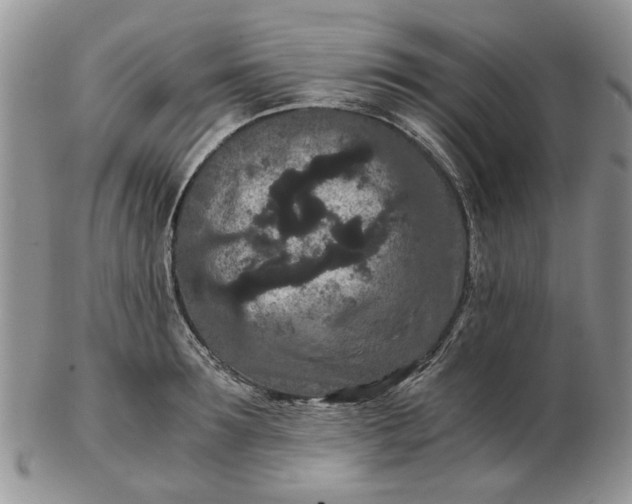 X0000102800899200809021134