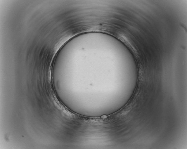 X0000102800900200809021134