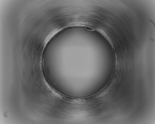 X0000102800901200809021134