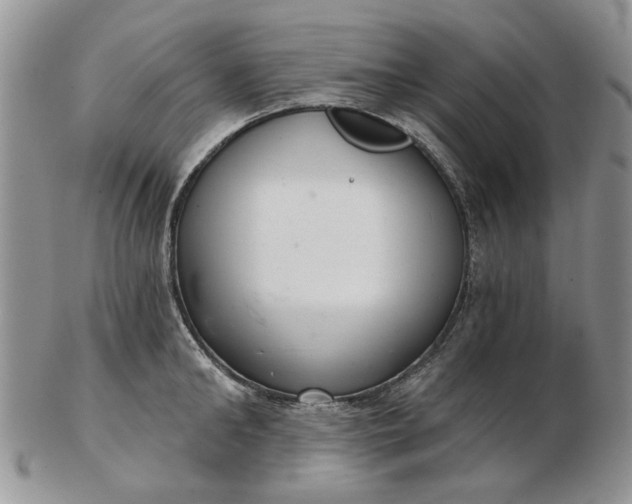 X0000102800902200809021134