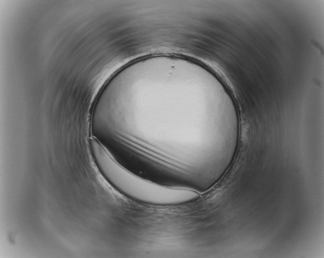 X0000102800903200809021134