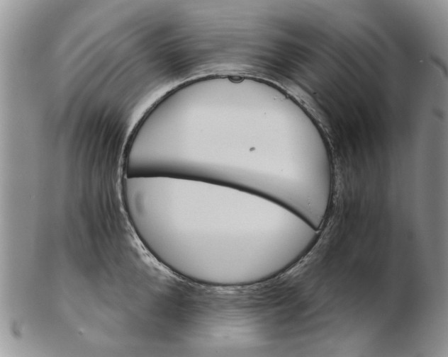 X0000102800904200809021134