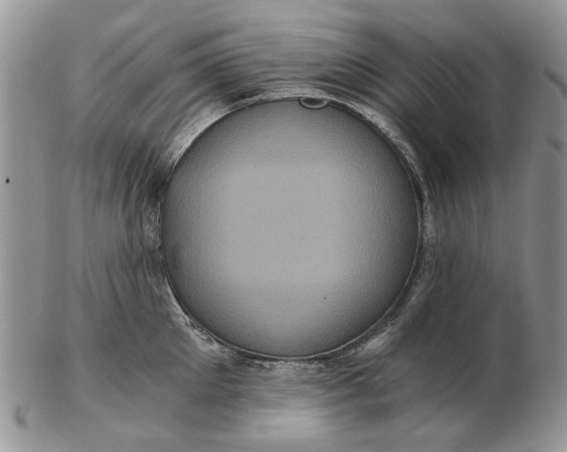 X0000102800905200809021134