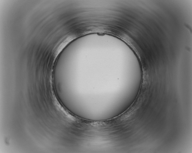 X0000102800906200809021134