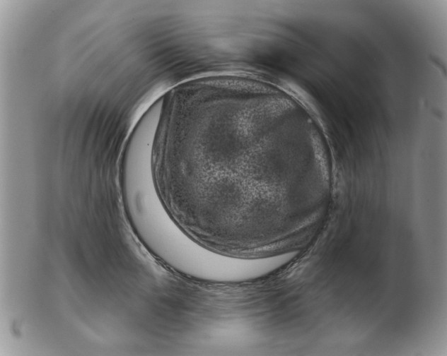 X0000102800907200809021134