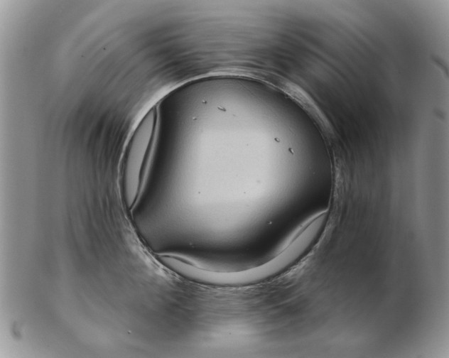 X0000102800908200809021134