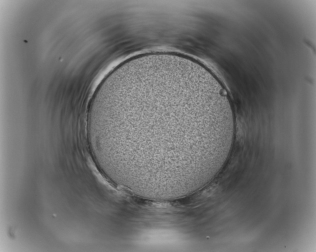 X0000102800911200809021134