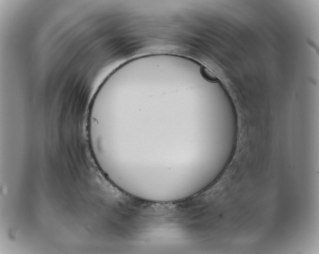 X0000102800912200809021134