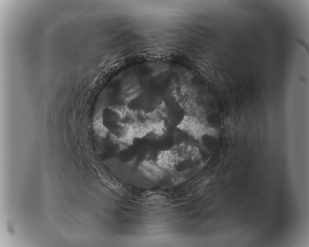 X0000102800913200809021133