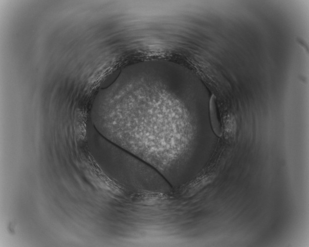 X0000102800916200809021133