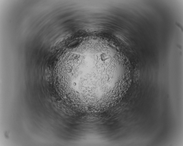 X0000102800917200809021133