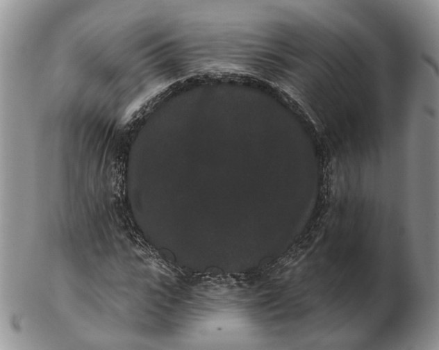 X0000102800919200809021133