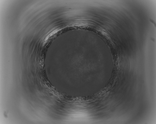 X0000102800920200809021133