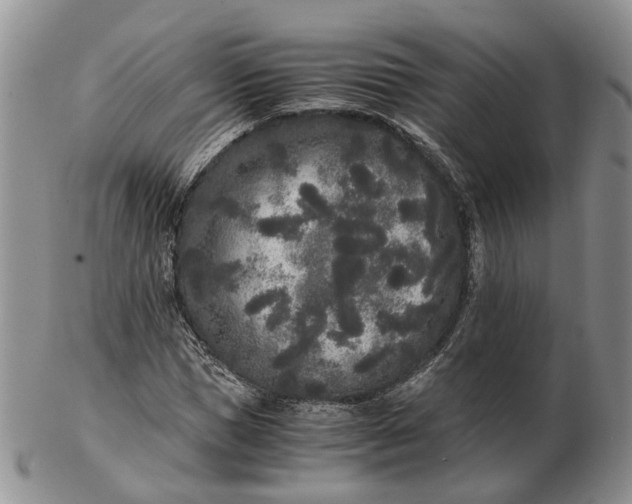 X0000102800921200809021133