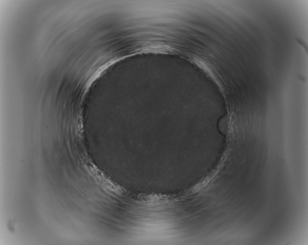 X0000102800923200809021133