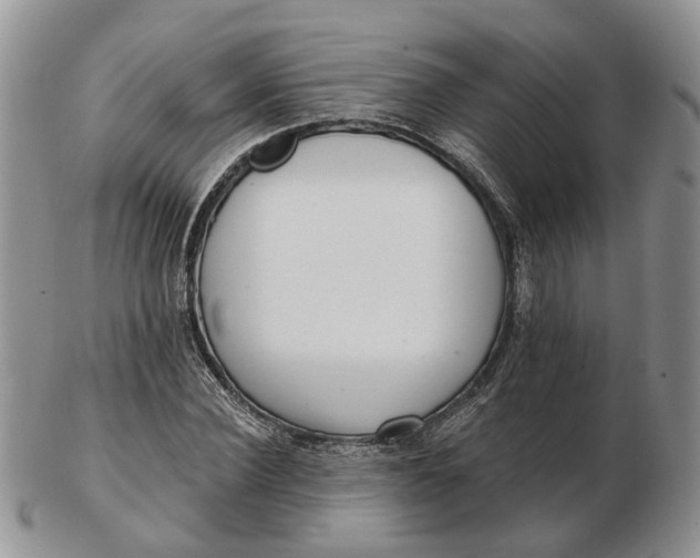 X0000102800924200809021133