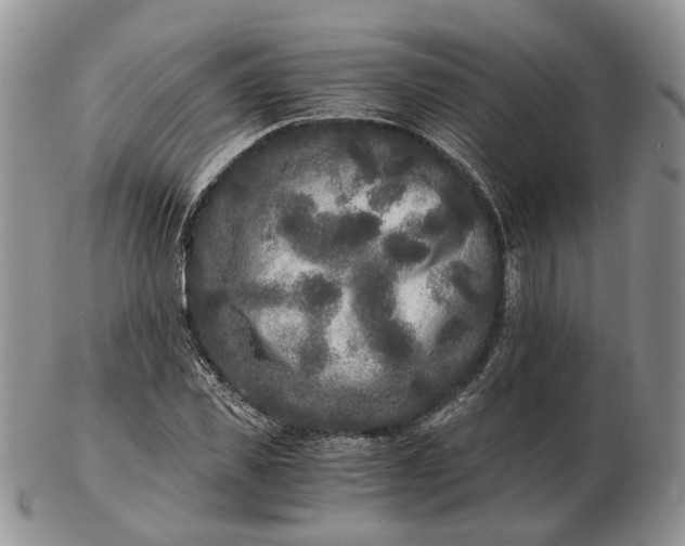 X0000102800925200809021133