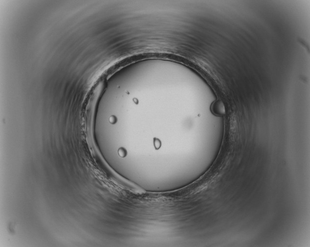 X0000102800926200809021133