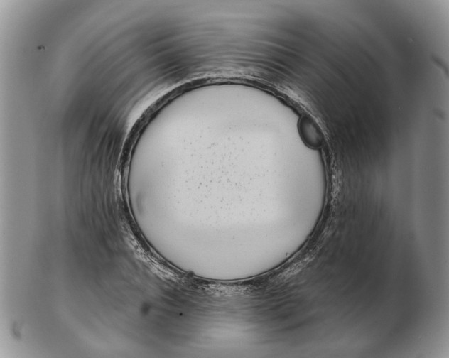 X0000102800928200809021133