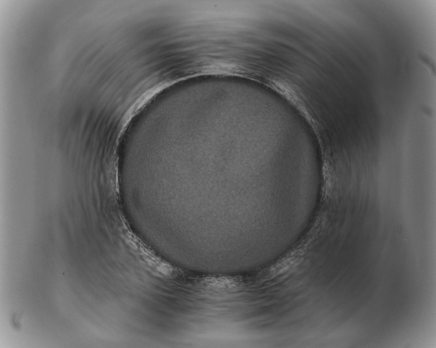 X0000102800931200809021133