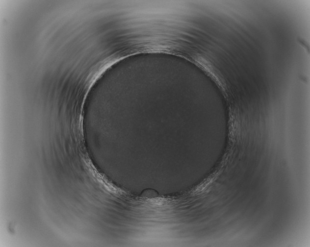 X0000102800932200809021133