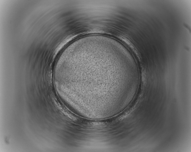 X0000102800933200809021133