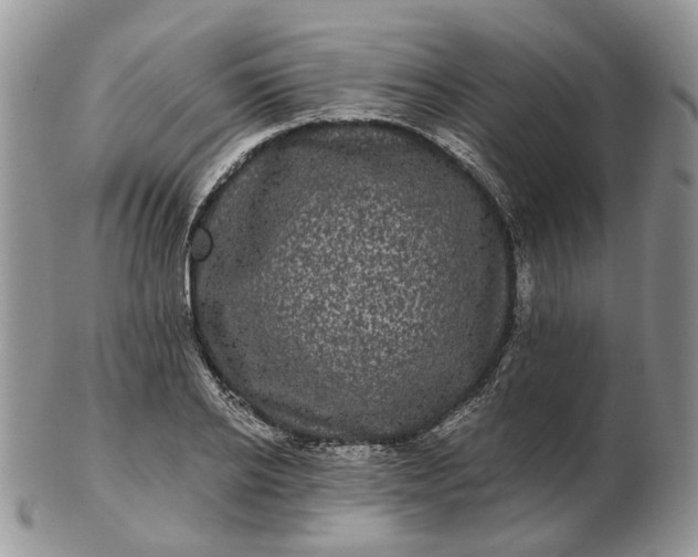 X0000102800934200809021133