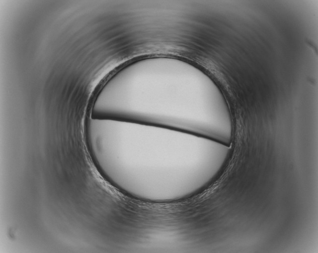 X0000102800936200809021133