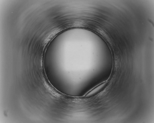 X0000102800938200809021133