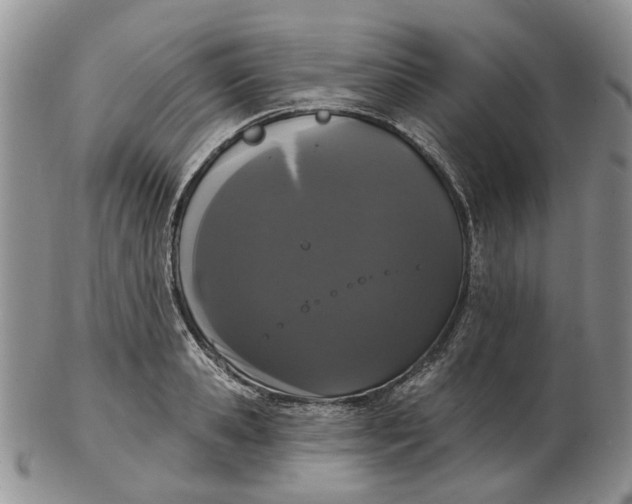 X0000102800941200809021133