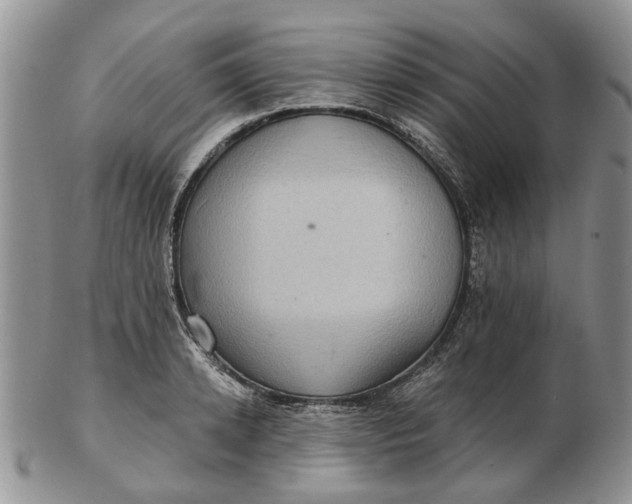 X0000102800942200809021133