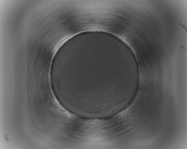 X0000102800943200809021133