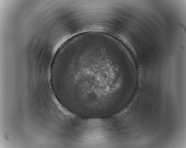 X0000102800944200809021133