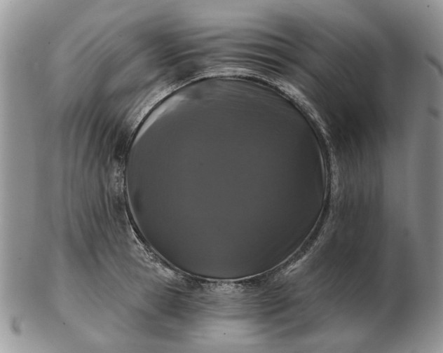 X0000102800945200809021133