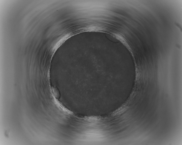 X0000102800946200809021134