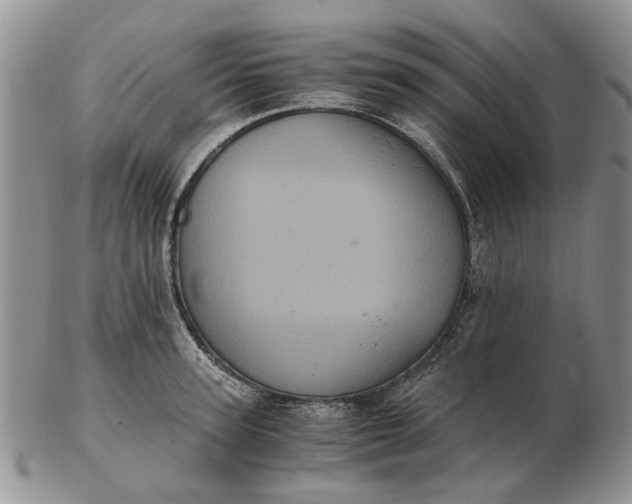 X0000102800947200809021134