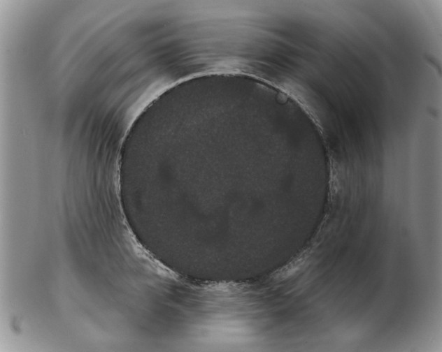 X0000102800950200809021134