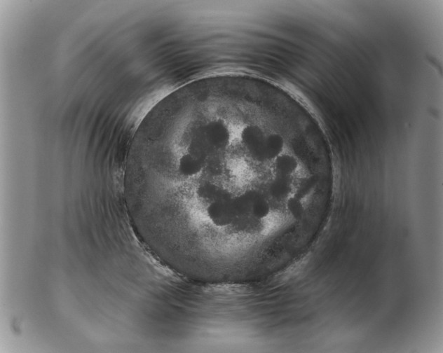 X0000102800953200809021134