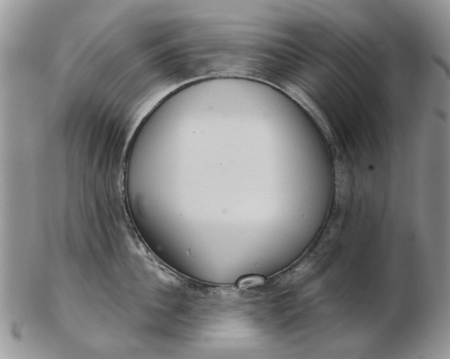 X0000102800956200809021134