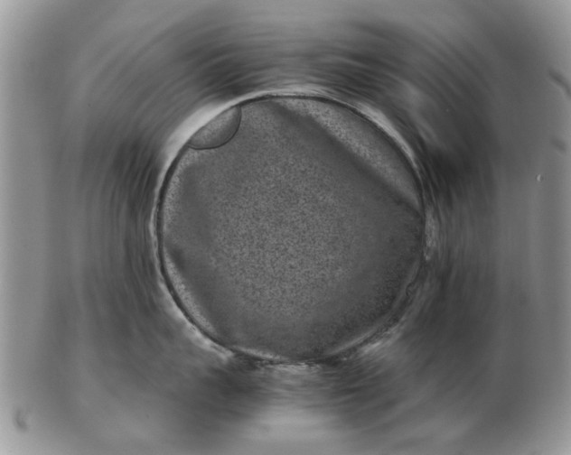 X0000102800959200809021134