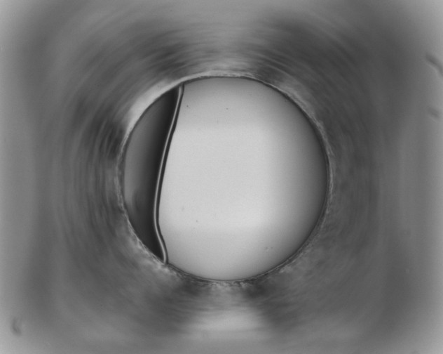 X0000102800960200809021134